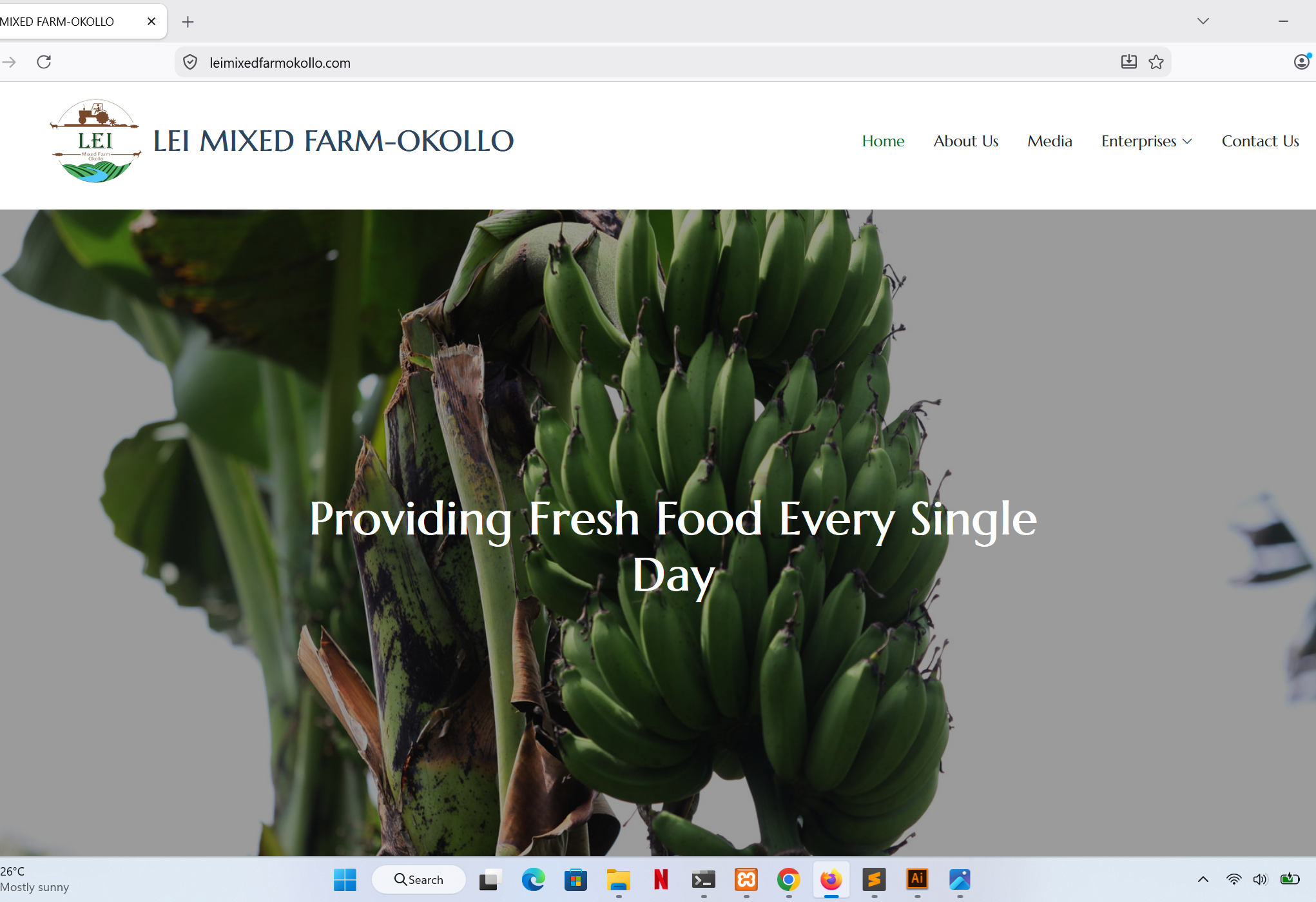 Website development and hosting